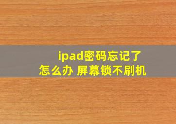 ipad密码忘记了怎么办 屏幕锁不刷机